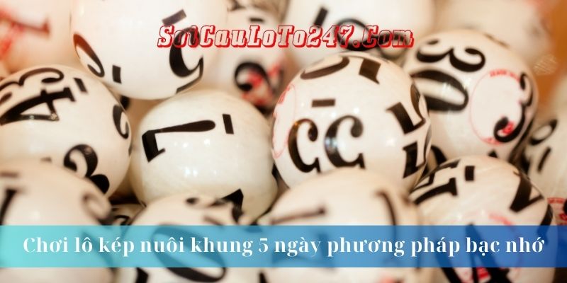 Chơi xổ số kép trong 5 ngày bằng phương pháp thắng và ghi nhớ.