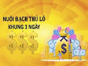 Việc phân chia tiền chia khi nâng khung là rất quan trọng